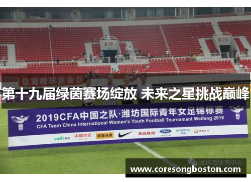 第十九届绿茵赛场绽放 未来之星挑战巅峰